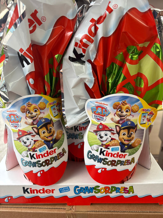 Kinder paw patrol